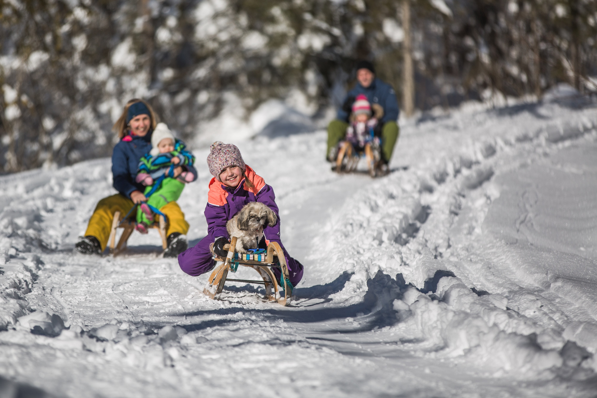 Kinder genießen den Winterspaß, wenn sie mit einem kleinen Hund einen verschneiten Hügel hinunterrodeln, während andere auf Schlitten hinterherfahren.